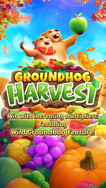 Groundhog Harvest สมัครสล็อตค่าย PG