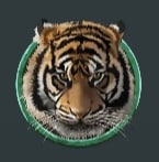 Tiger Lord (เจ้าเสือ) สล็อต PG Slot 1234