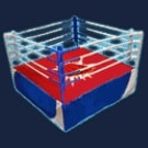 Muay Thai (กำลังหมัดราชันย์) PG Slot 168