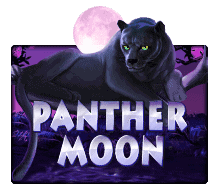Panther Moon ค่าย Slotxo สล็อต XO จาก PGSlot