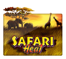 Safari Heat ค่าย Slotxo สล็อต XO จาก PGSlot