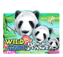 Wild Giant Panda แนะนำเกมสล็อตค่าย SLOTXO จาก สล็อต PG