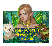 Enchanted Forest SLOTXO สล็อต PG