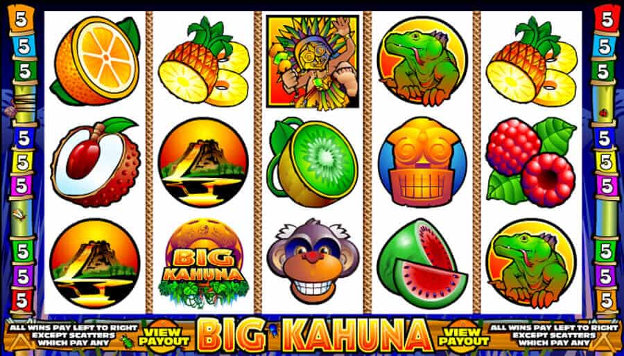 Big Kahuna MICROGAMING สล็อต PG