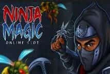 Ninja Magic MICROGAMING PG Slot