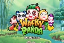 Wacky Panda MICROGAMING PG Slot