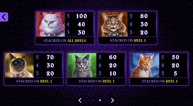 Pretty Kitty MICROGAMING PG Slot เครดิตฟรี