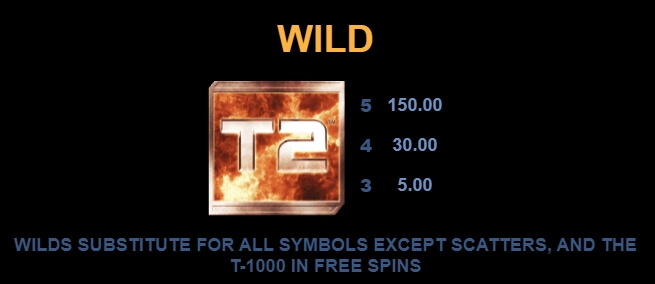 Terminator 2 MICROGAMING PG Slot1234