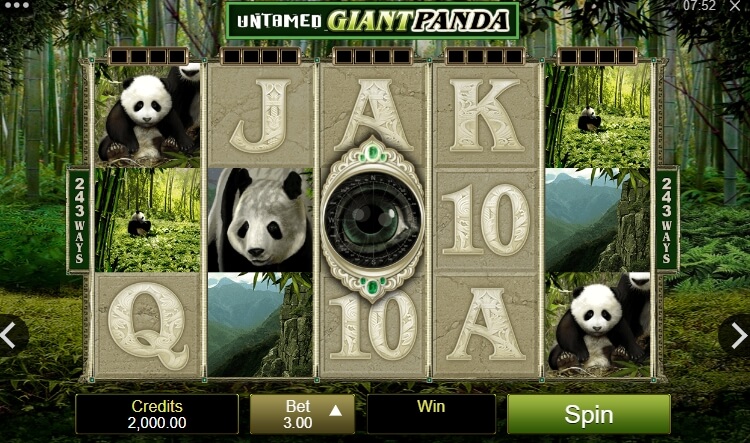 Untamed Giant Panda MICROGAMING PGslot