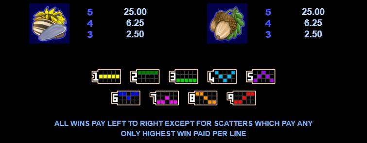 What a Hoot MICROGAMING PG Slot Game