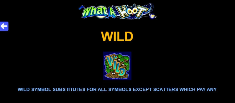 What a Hoot MICROGAMING Slot PG