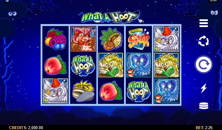 What a Hoot MICROGAMING สล็อต PG