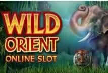 Wild Orient MICROGAMING PG Slot