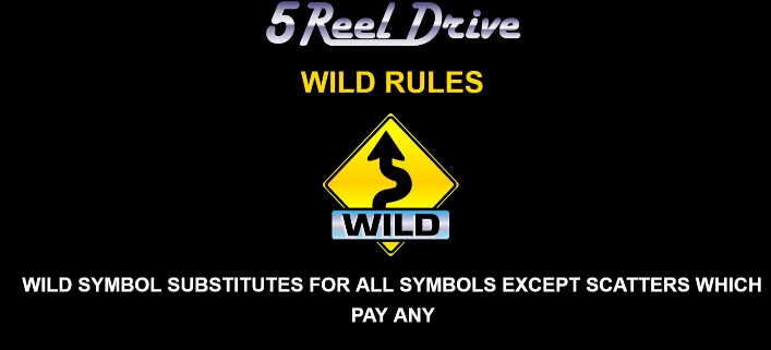 5 Reel Drive MICROGAMING Slot PG