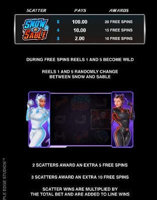 Action Ops Snow & Sable MICROGAMING slotxo 311