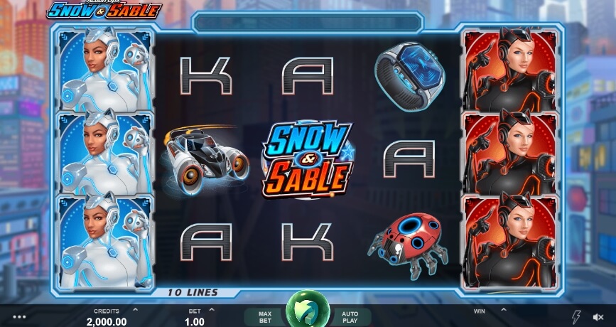 Action Ops Snow & Sable MICROGAMING สล็อต PG