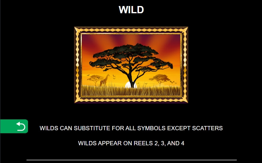 African Quest MICROGAMING PG Slot1234