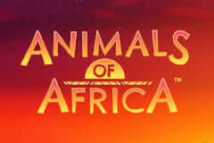 Animals of Africa MICROGAMING PG Slot