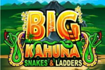 Big Kahuna Snakes & Ladders MICROGAMING PG Slot