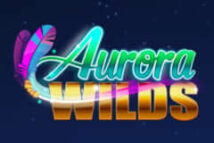 Aurora Wilds MICROGAMING PG Slot