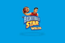 Basketball Star Wilds MICROGAMING PG Slot