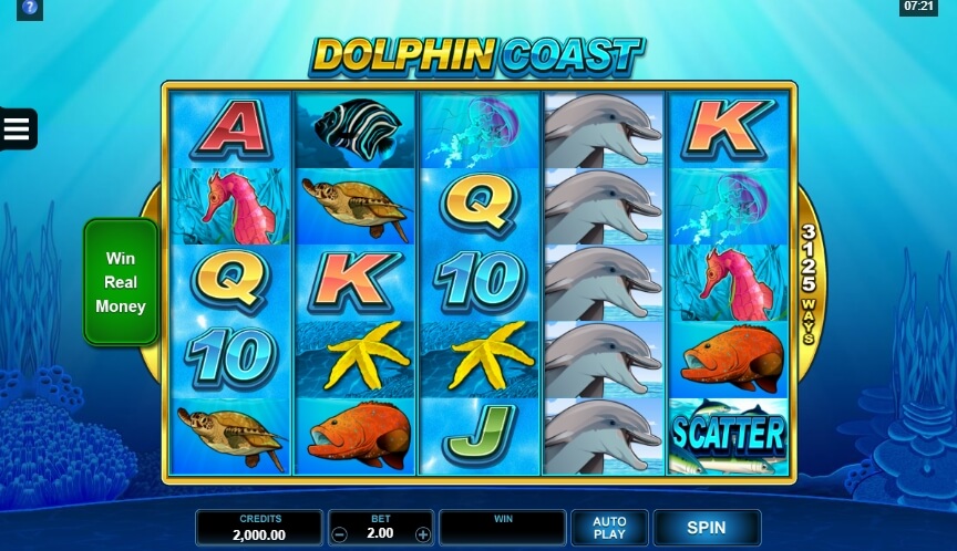Dolphin Coast MICROGAMING สล็อต PG