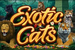 Exotic Cats MICROGAMING PG Slot