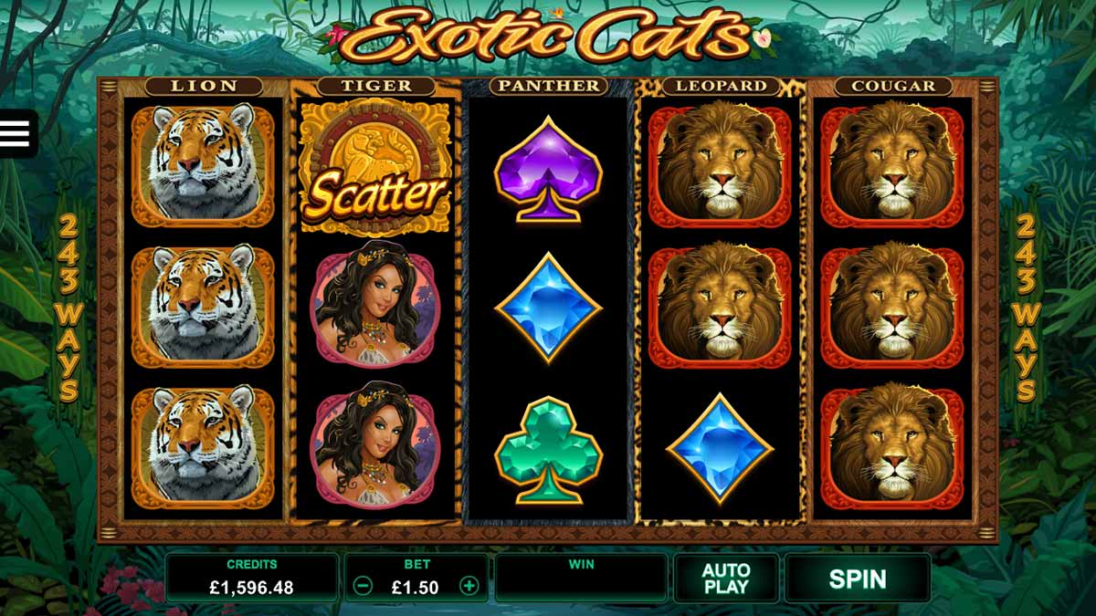 Exotic Cats MICROGAMING สล็อต PG