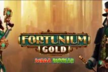 Fortunium Gold Mega Moolah MICROGAMING สล็อต PG