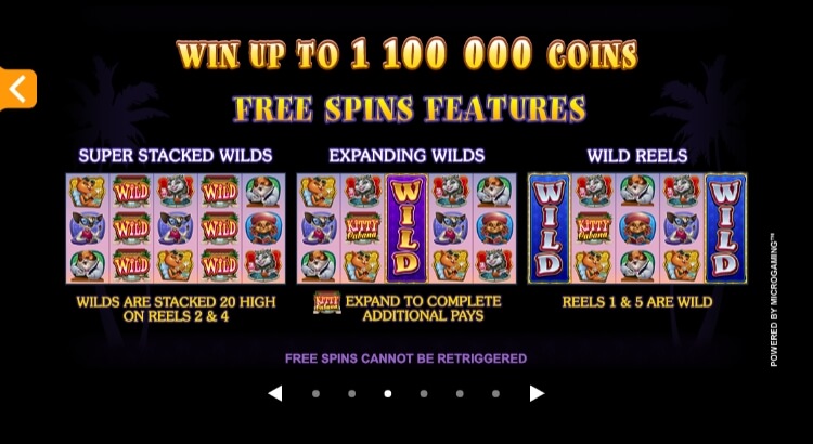 Kitty Cabana MICROGAMING PG Slot1234
