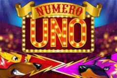 Numero Uno MICROGAMING PG Slot