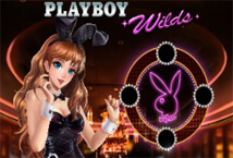 Playboy Wilds MICROGAMING PG Slot