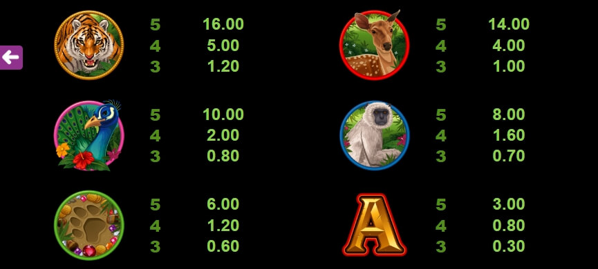 Tiger's Eye MICROGAMING PG Slot Game