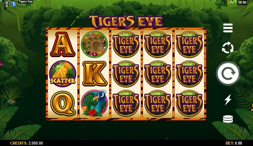 Tiger's Eye MICROGAMING สล็อต PG