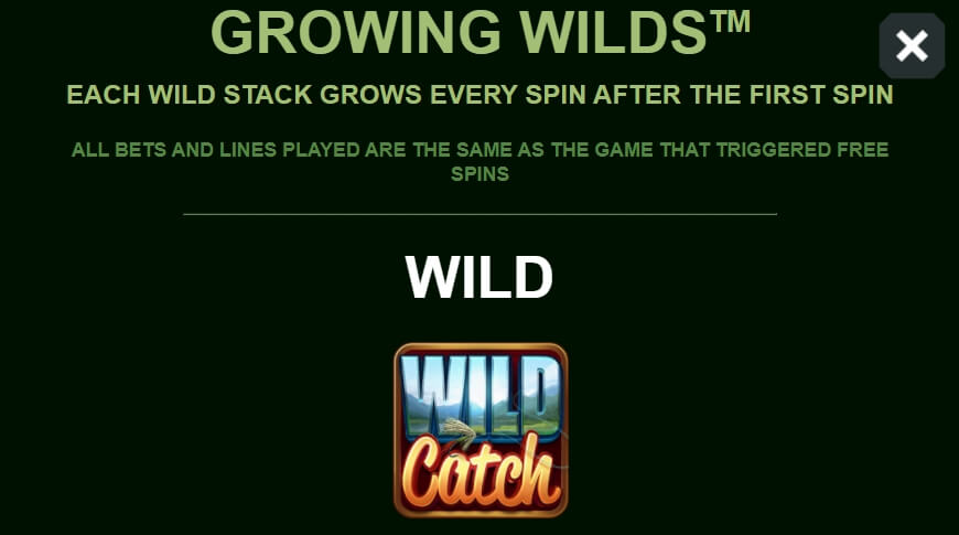 Wild Catch MICROGAMING PG Slot1234