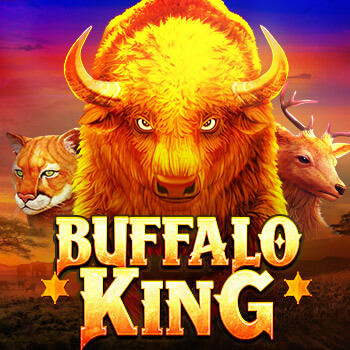 Buffalo King NEXTSPIN PG Slot