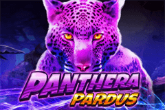 Panthera Pardus Live22 สล็อตพีจี