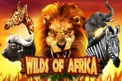 Wilds Of Africa Live22 PG Slot